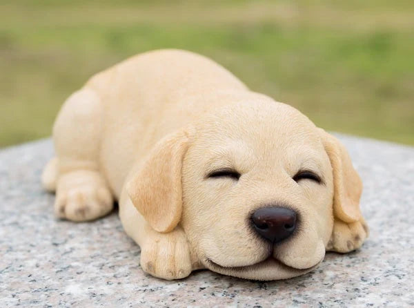 Sleeping Yellow Labrador Puppy Figurine - Pet Pals Collection for Dog Lovers